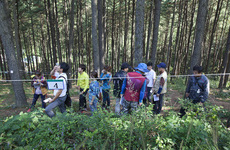 산림기사-작업형교육